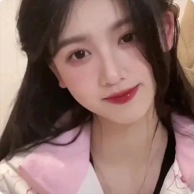 保姆的黑皮书封面