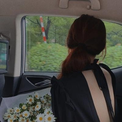 芝麻街：小鸡带路封面