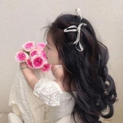 春晓封面