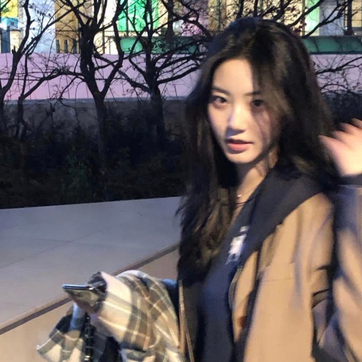 少女与海怪封面